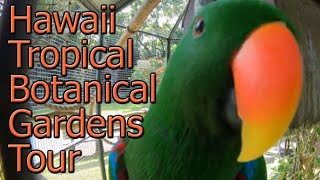 Hawaii Tropical Botanical Gardens Walking Tour Exotic Plant Rainforest - Hilo, Hawaii, USA, Travel