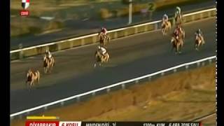 Download Lagu ADOLFHA (Hakkar-Miss Naz by Orpen) MP3