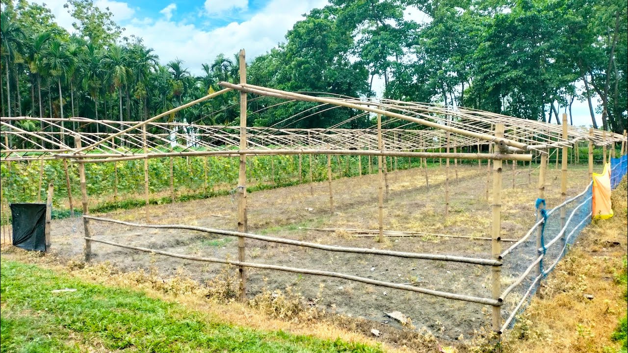 My POLYHOUSE Is Ready | मेरा पाली हाउस रेडी हो गया है #chandukafarming #agriculture #polyhouse