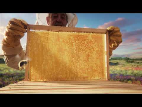 عسل نقي  تشهد له الطبيعة