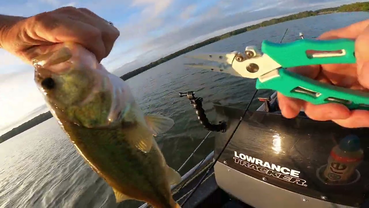 Bass fishing at Woods Reservoir on the south side of the bridge.