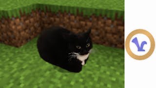 Maxwell the Cat - Minecraft Resource Pack