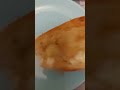 Tasty bread toasted on plate blue light