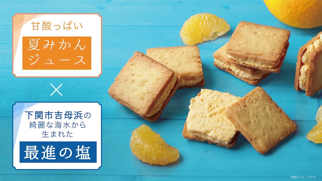 人気お土産詰合せ5種セット 山口県産夏みかん フィナンシェ