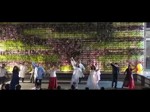 Couple dance | Chand Chupa Badal mein| Chaand Baliyan | Zingaat dance| Society Kojagiri celebration
