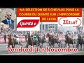 Ma sélection de 5 chevaux pour la course du Quinté du Vendredi 1er Novembre sur hippodrome de Laval
