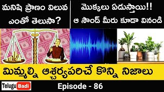 Top 7 Interesting Facts in Telugu | Best Facts in Telugu | Episode 86 | Telugu Badi Facts