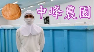 【 うろうろ和歌山 】 紀州 梅干 農家の梅 の 老舗 中峰農園 和歌山県 田辺市 上秋津 南高梅 おいしい うめぼし 梅ぼしdried pluma pickled ume 通販 お取り寄せ