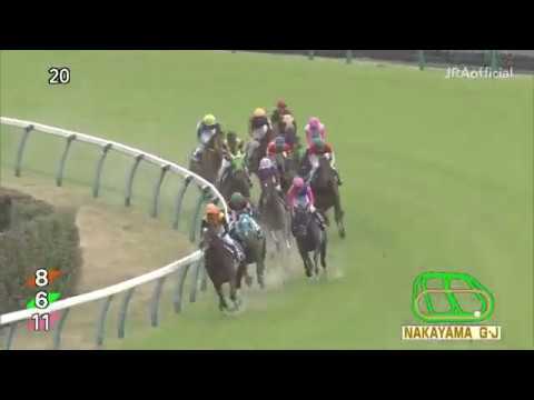2020.04.18 Nakayama Grand Jump (JPN) - Oju Chosan