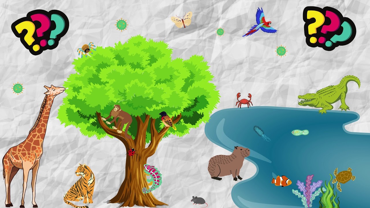 Capivara Reflexiva   Biomonitoramento