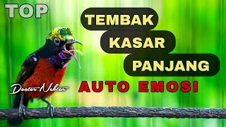 TEMBAKAN KASAR PANJANG KONIN GACOR FULL ISIAN COCOK BUAT PANCINGAN DAN MASTERAN KOLIBRI NINJA BAHAN