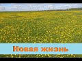 Коротко первые недели новой жизни