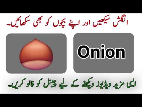 Learn 20 Everyday Words in English | Easy English for you 🍎