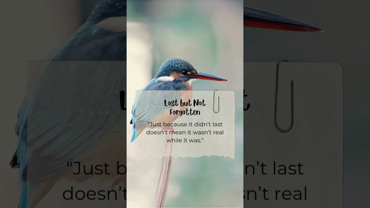 Lost but Not Forgotten 