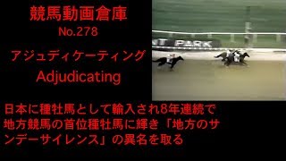 【競馬】アジュディケーティング　Adjudicating【No 278】