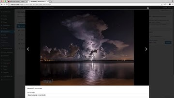 Feed Them Gallery (A WordPress Gallery Plugin)