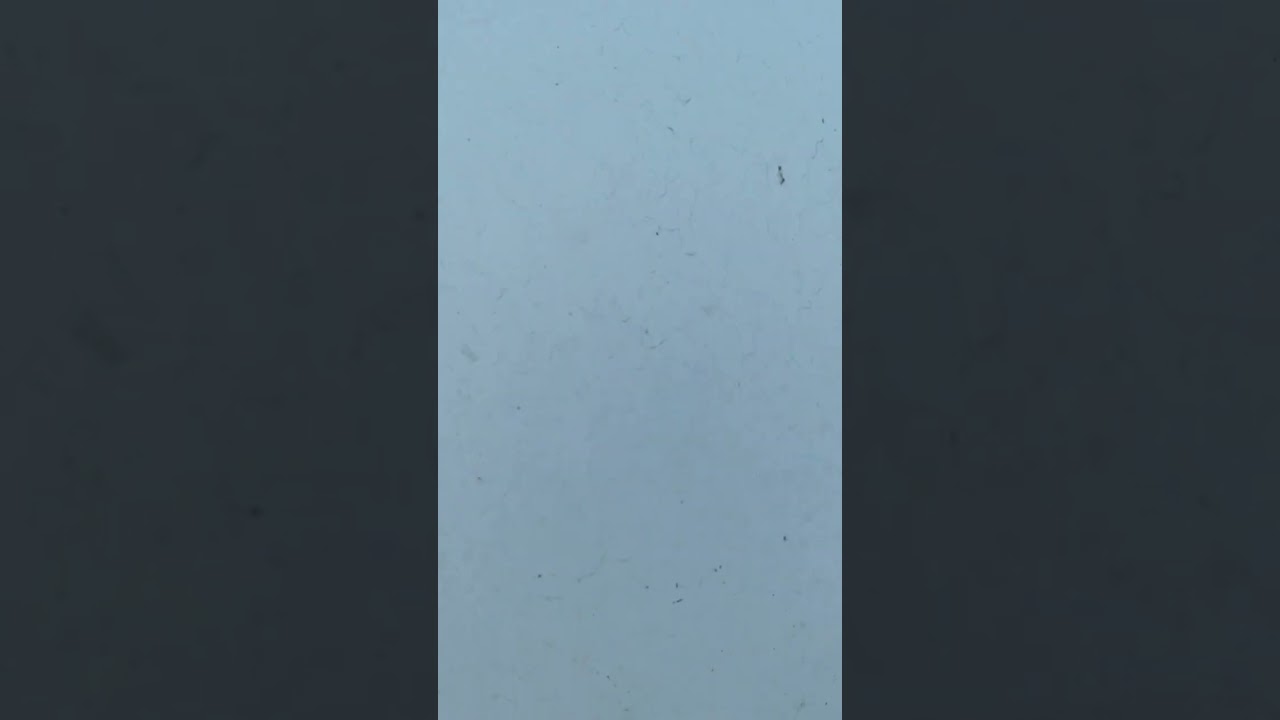 M611, двигатель Мерседес спринтер 