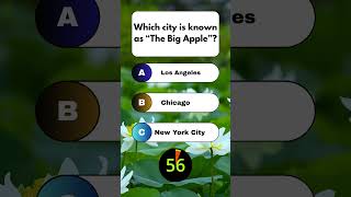 Can You Answer This Ultimate US City Trivia? 🍎 🤔 #shorts