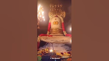 #பிரதோஷம்#mahadev #ஓம்நமச்சிவாய #தோஷங்கள் நீக்கும் பிரதோஷம்பாடல்#pradhosham#shivakshaa #short #sivan