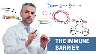 Foreign Body Reaction: The Effects on Neural Interface Longevity