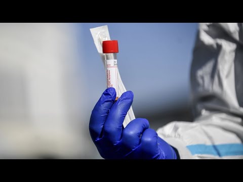 საქართველოში ახალი ე.წ. საბურთალოს კლასტერი ჩამოყალიბდა