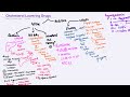Cholesterol Lowering Drugs Pharmacology