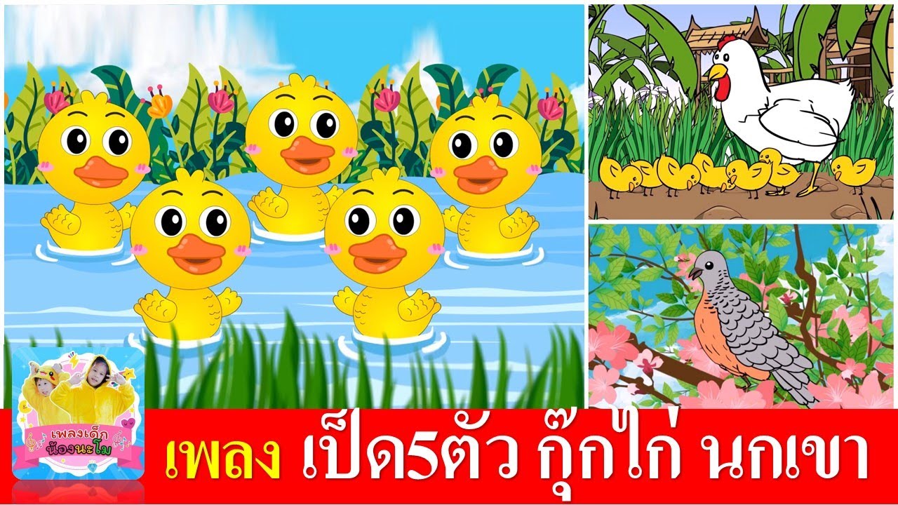 เพลงเด็กอนุบาล เป็ด5ตัว กุ๊กไก่ นกเขา | ลูกเป็ด5ตัว | ไก่กุ๊กกุ๊กไก่ | นกเขาบินข้ามเขา