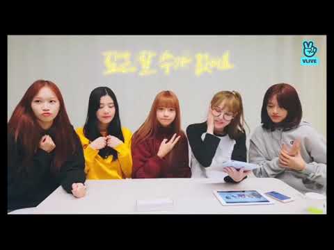 Chaewon,Eunbi,Yuri,Yena,Yujin of IZ*ONE