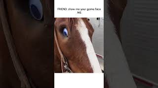 Woman Puts Googly Eye on Horse