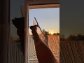 Satisfying sunrise🧼 #shorts #cleaning #satisfying #sunrise 📹: the_king_of_showcase