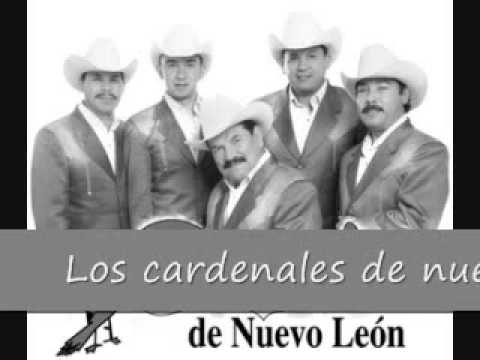 Los cardenales de nuevo leon " Mi complice "