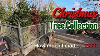 Collecting Christmas Tree’s | How much money did I make? | UK Gardener