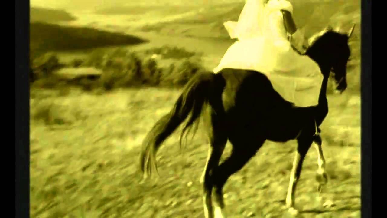 ИВАЙЛО ГЮРОВ-ВИНО И СЪЛЗИ(IVAILO GIUROV-WINE AND TEARS)