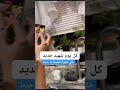 انتبهو شباب ديما ظهرك للحيط مش للشباك