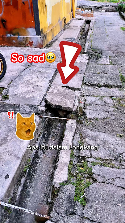 mungkin sakit dia tak mau makan💔#kitten #kucing