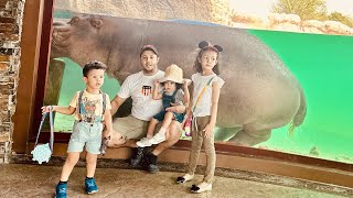 Hippopotamus Aquarium @DubaiSafariPark