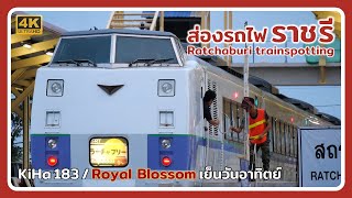 Ratchaburi trainspotting | KiHa 183 / Royal Blossom / Freight 778 on Sunday evening