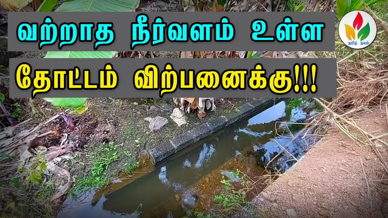 வருடம் முழுவதும் தண்ணீர் வசதியுள்ள தோட்டம் agriculture land for sale thottam sale tamil