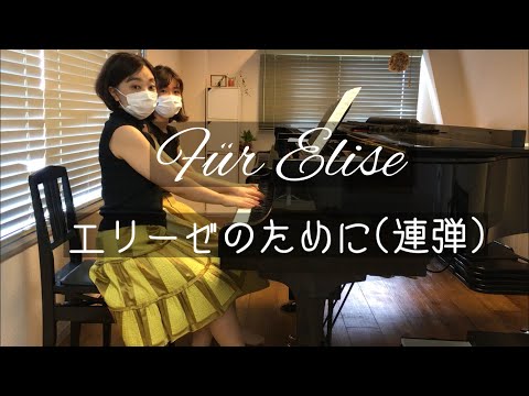 【連弾】エリーゼのために Fur Elise arr.Saeko Tabuchi
