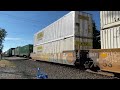 Norfolk Southern Freight Train 79