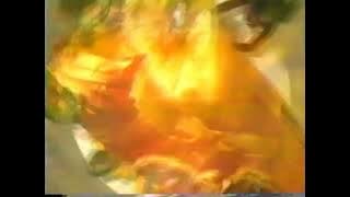 Renaissance-Atlantic Films/Toei Company/Bugboy Productions/Saban (1996)