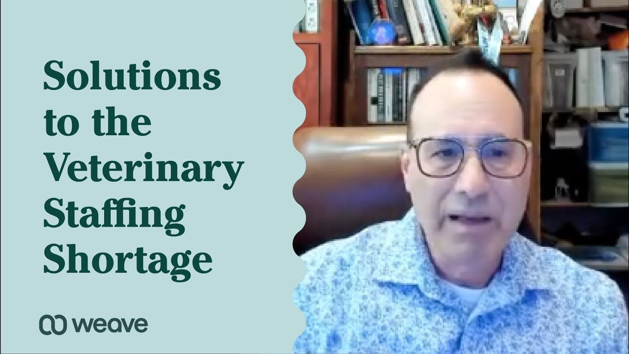 5 Innovative Solutions to the Veterinary Staffing Shortage