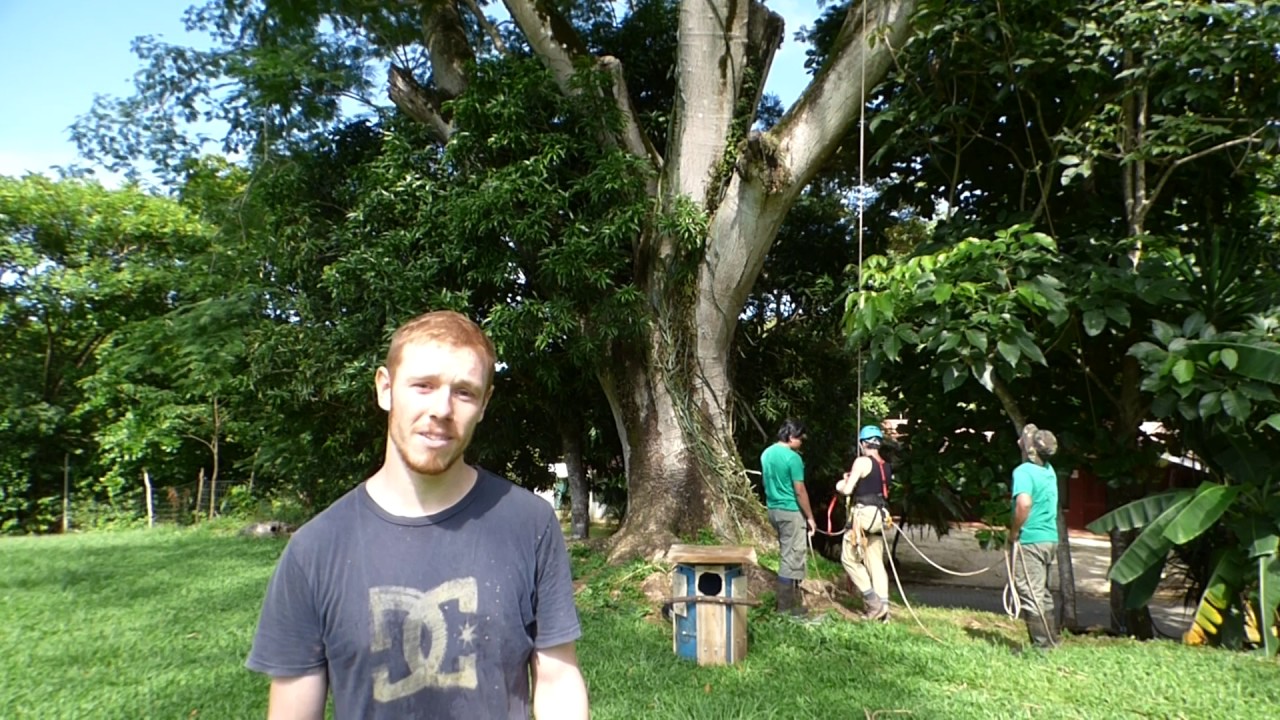 The Ara project, thank you for all your donations.