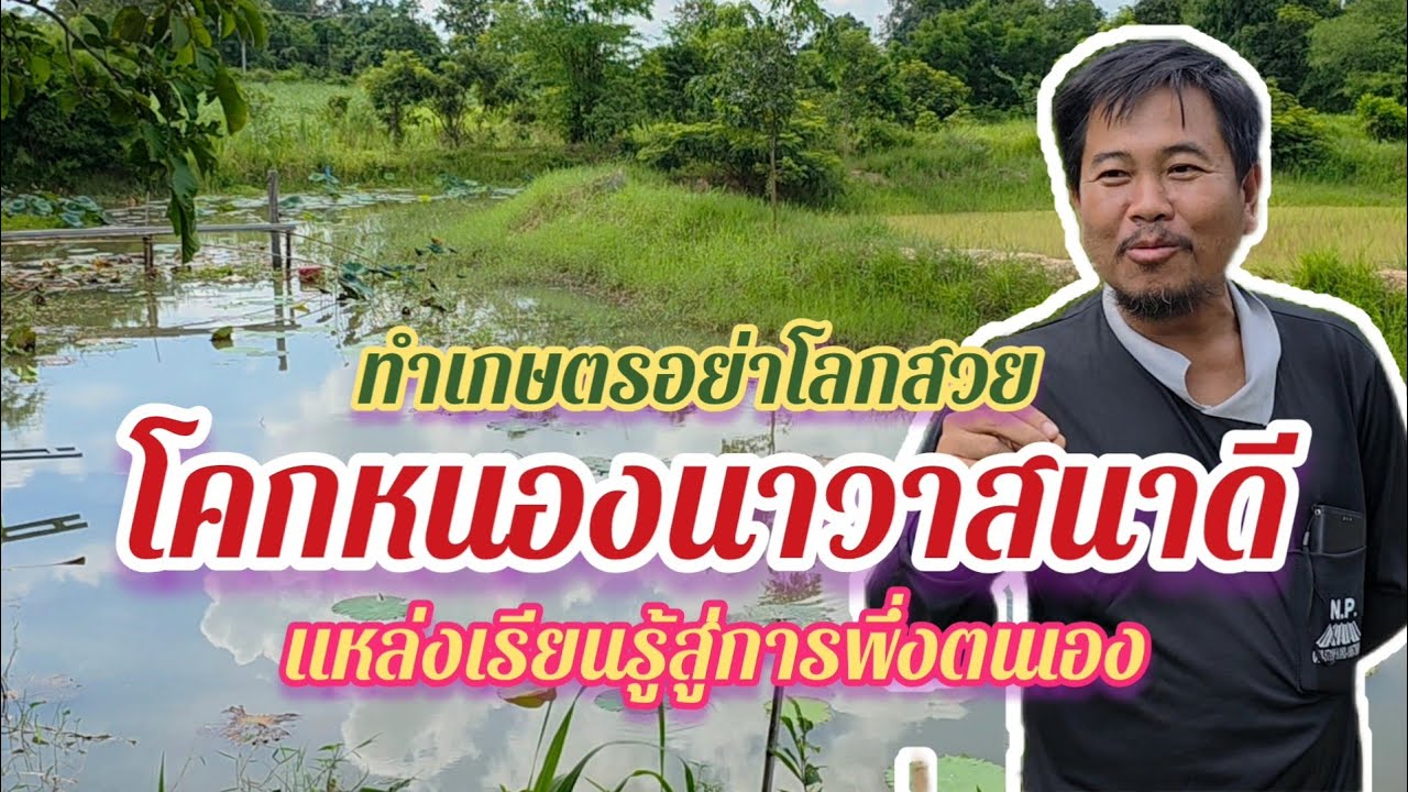 ทำเกษตรอย่าโลกสวย โคกหนองนาวาสนาดี – แหล่งเรียนรู้สู่การพึ่งตนเอง