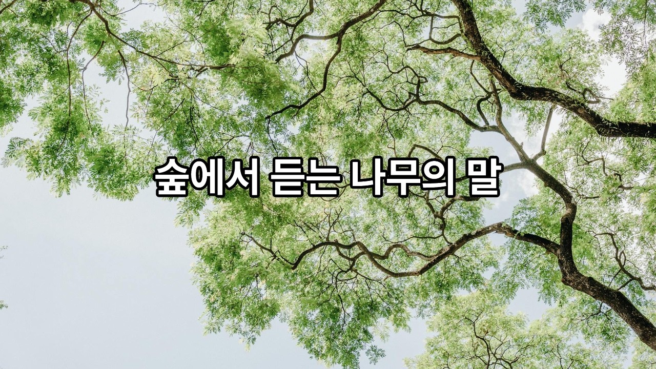 숲에서 듣는 나무의 말