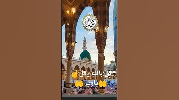 #احترم القران الكريم راحة نفسية 😌❤️‍🩹