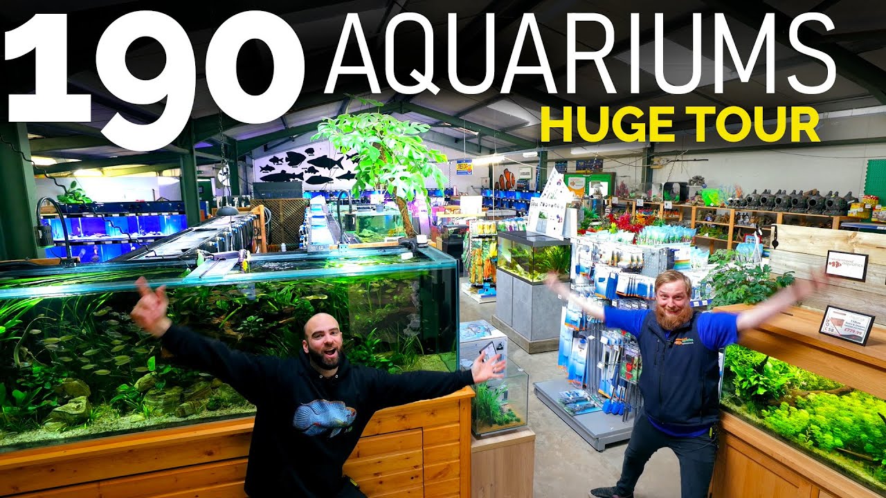 The BIGGEST Fish Shop Tour EVER Incl Behind The Scenes Over 190 Aquariums