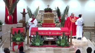 03/29/26: 7:30AM Misa - Domingo de Ramos “De la pasión del Señor”
