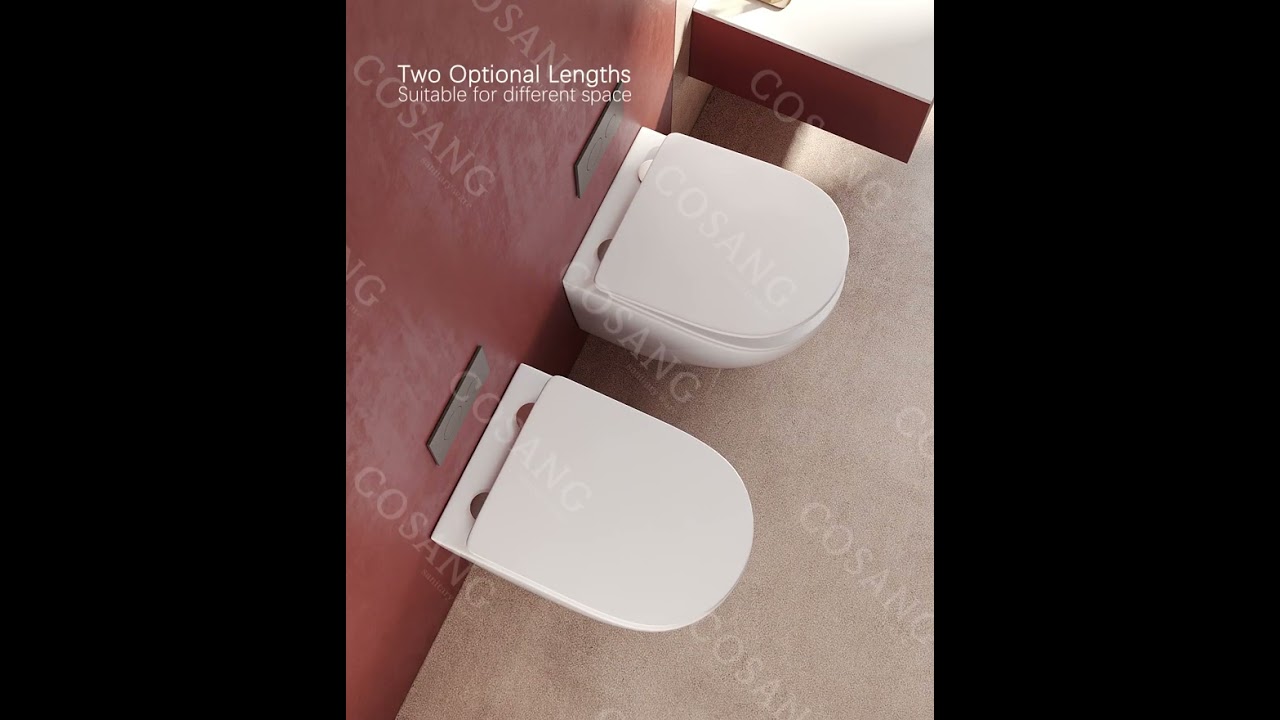 Cosang Sanitary Ware (Tornado Wall-hung Toilet)