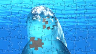 Dolphin in Deep Blue Waters | Jigsaw Puzzle Time Lapse screenshot 5